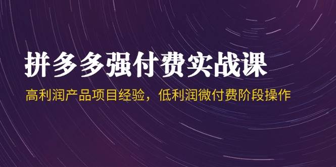 (5.26)拼多多强付费实战课-44期，高利润产品项目经验，低利润微付费阶段操作