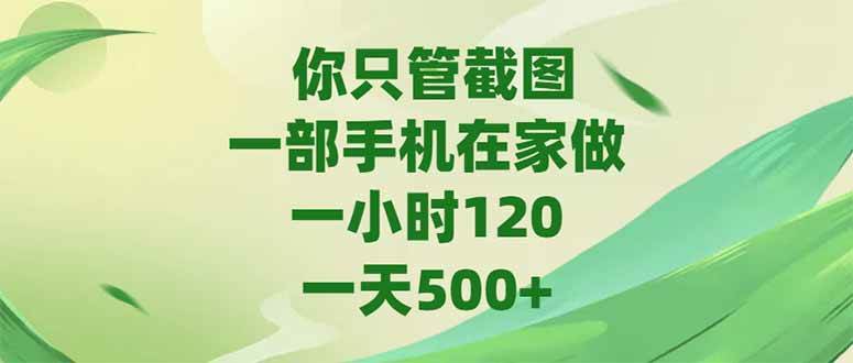(6.12)你只管截图，一部手机在家做，一小时120，-天500+